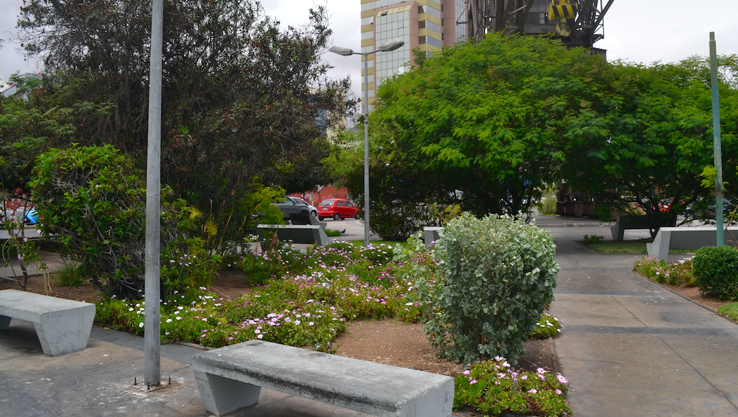 Captura de Pantalla 2020-10-30 a la(s) 17.16.33