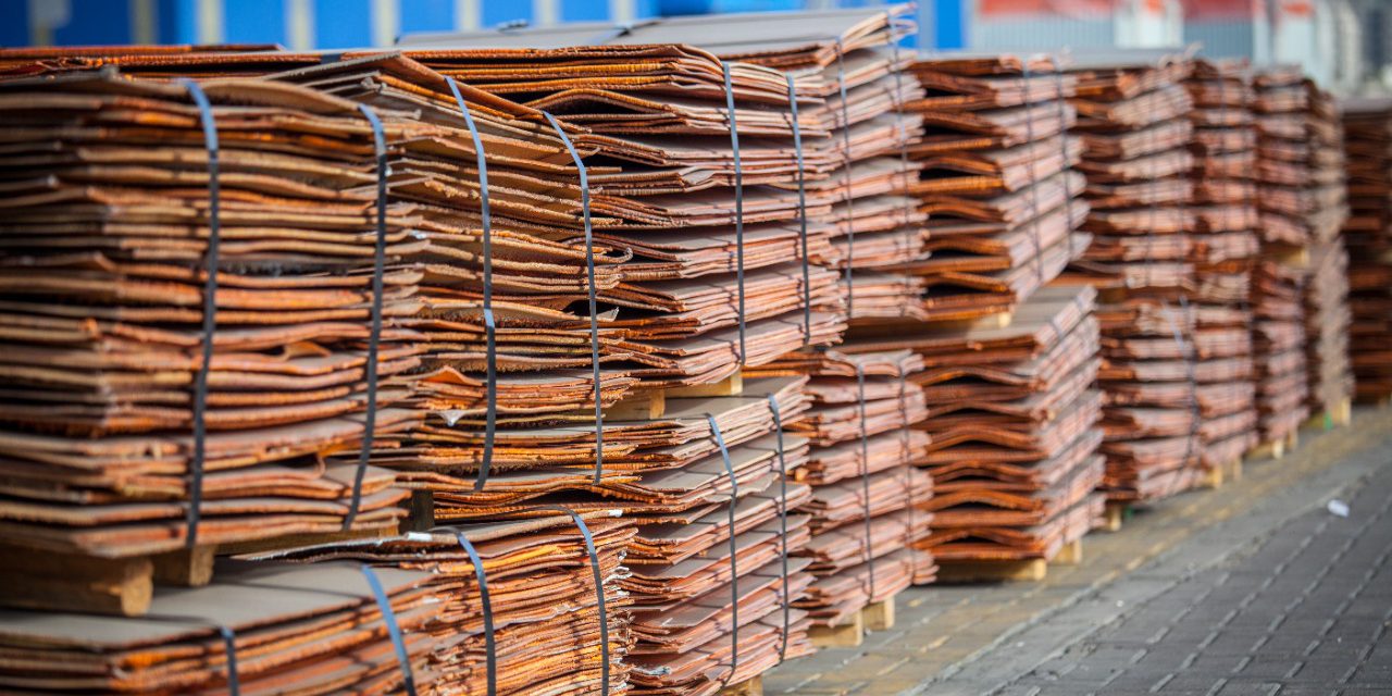 WhatsApp Image 2021-08-09 at 13.05.20