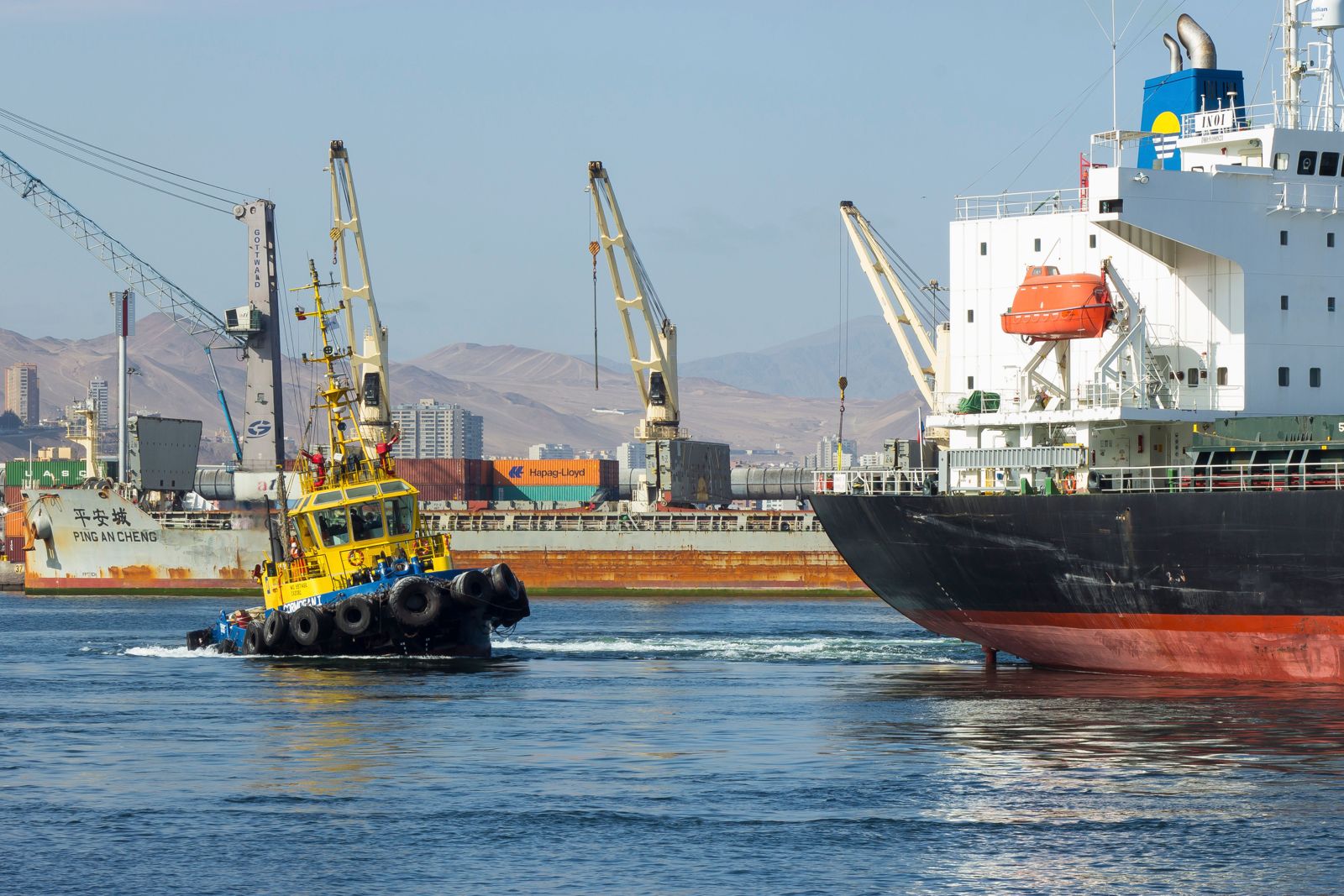 Ecoports Puerto Antofagasta