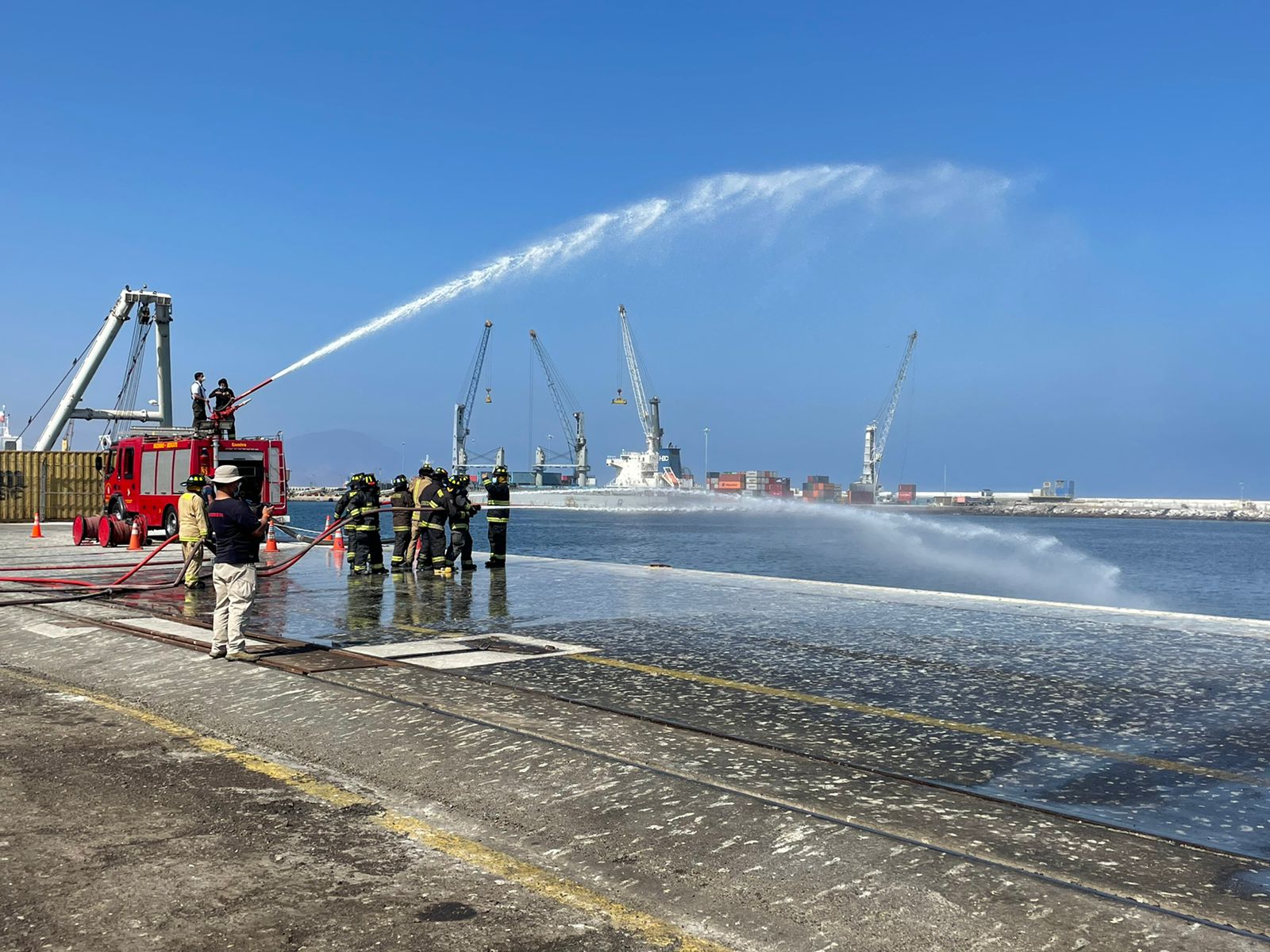 WhatsApp Image 2022-03-14 at 12.46.19