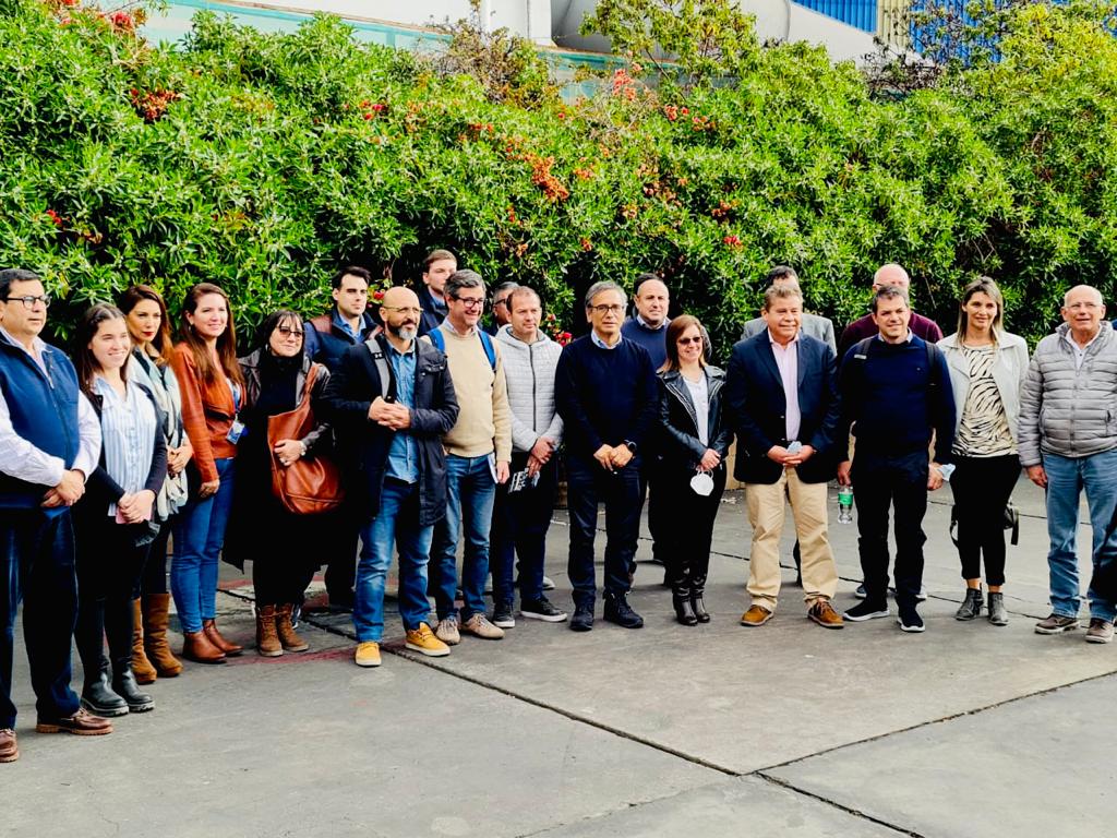 Copia de c6fc4c8e-6769-4fdd-8c16-b79e6581fe26