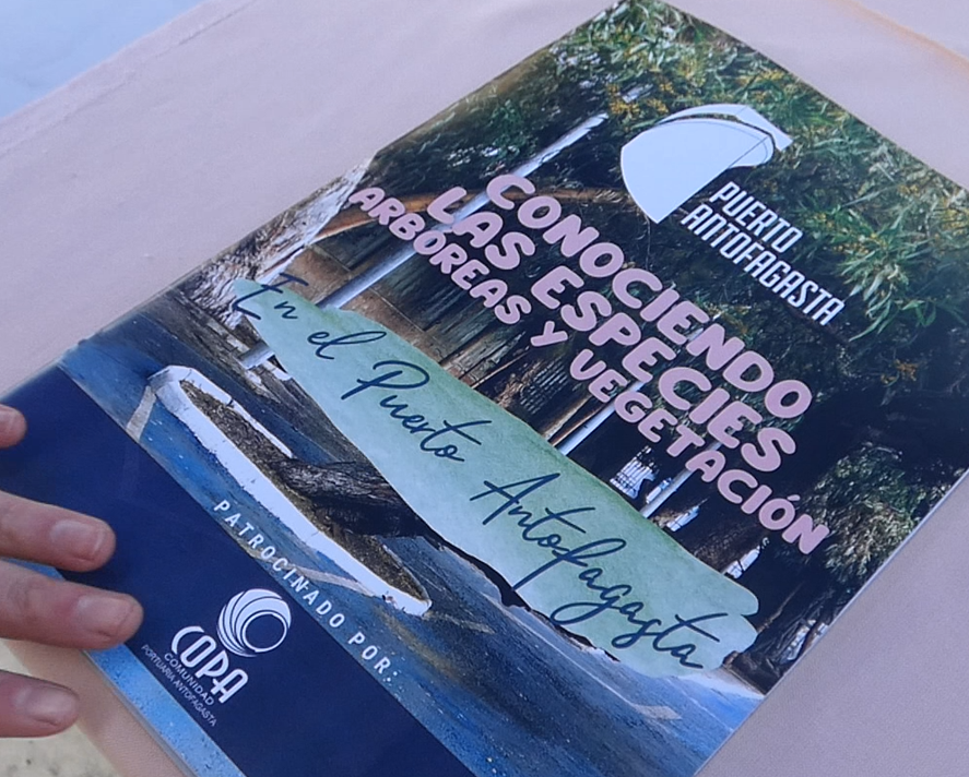 Captura de pantalla 2023-06-07 141456